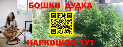 крисы Кунгур