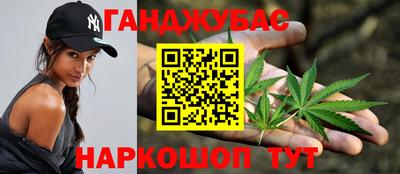 крисы Кунгур