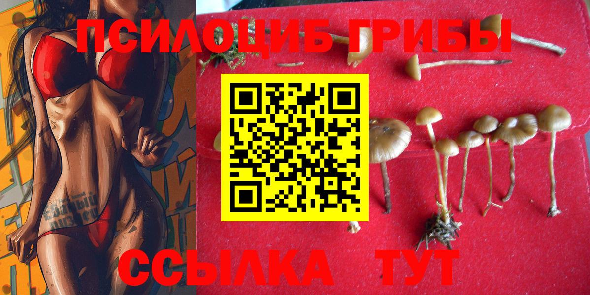 Южно-Сахалинск  Псилоцибиновые грибы GOLDEN TEACHER  Вход с VPN 