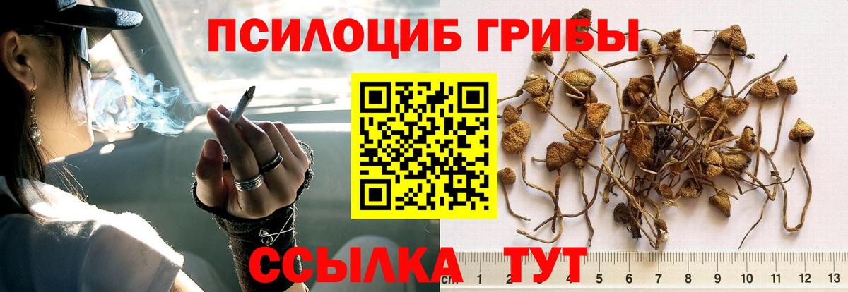 Галлюциногенные грибы MAGIC MUSHROOMS Южно-Сахалинск